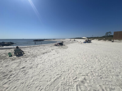 2024 Dauphin Island East End Beach & Dune Restoration